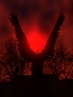 Avatar użytkownika