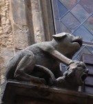 DSC08379.jpg
