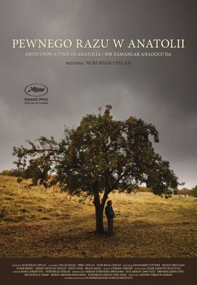 Pewnego razu w Anatolii.jpg